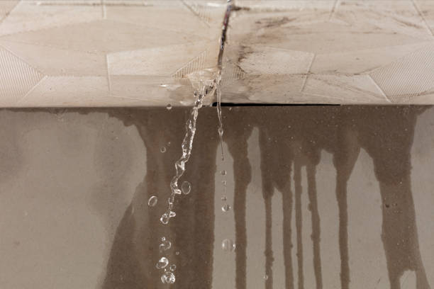 Professional Burst Pipe Cleanup technician working in Essex, IL